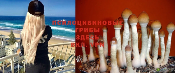ECSTASY Нефтегорск