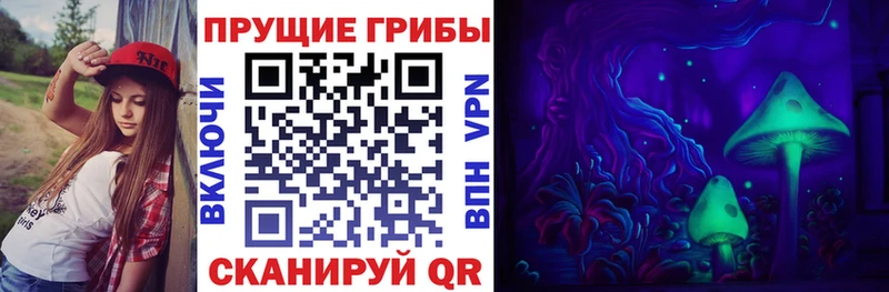 Галлюциногенные грибы Psilocybe  Купить где  Светлогорск 