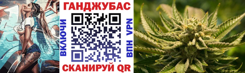 Канабис Amnesia  Купить закладки  Светлогорск 